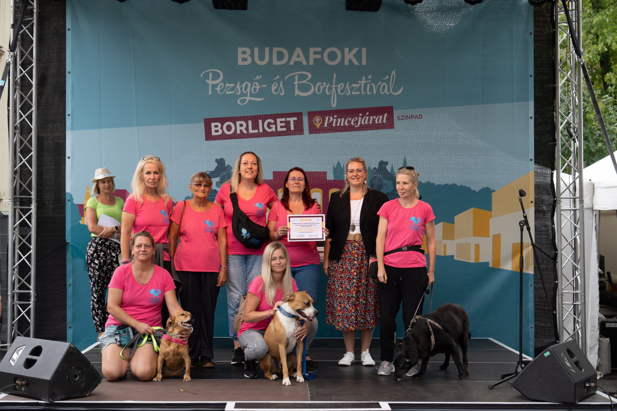 OKLEVELET KAPTAK AZ ÖTLETGAZDÁK